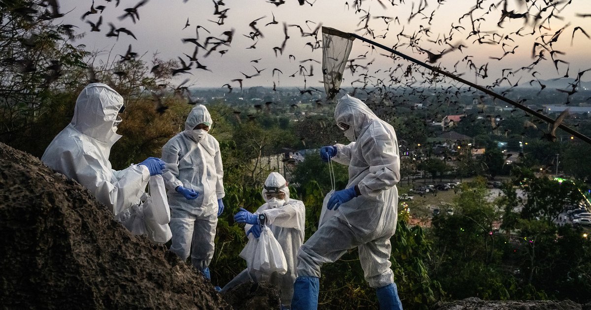 Common diseases between human and animal and infectious diseases