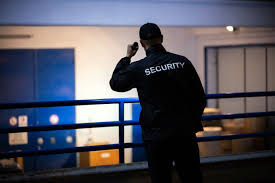 Security Patrolling and Observation