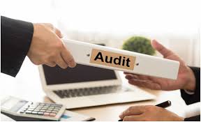 Internal EMS Auditor